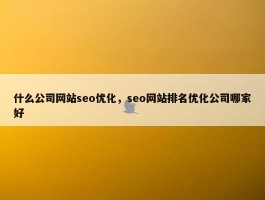 什么公司网站seo优化，seo网站排名优化公司哪家好