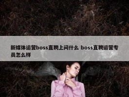 新媒体运营boss直聘上问什么 boss直聘运营专员怎么样