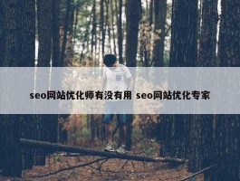 seo网站优化师有没有用 seo网站优化专家