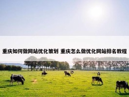 重庆如何做网站优化策划 重庆怎么做优化网站排名教程