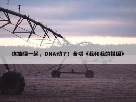 这旋律一起，DNA动了！合唱《我和我的祖国》