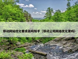 移动网站优化要求高吗知乎（移动公司网络优化累吗）