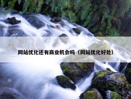 网站优化还有商业机会吗（网站优化好处）