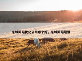 东城网站优化公司哪个好，东城网站建设