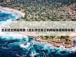 怎么优化网站收录（怎么优化自己的网站收录和排名呢）