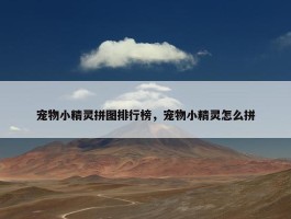 宠物小精灵拼图排行榜，宠物小精灵怎么拼