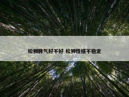 松狮脾气好不好 松狮性格不稳定