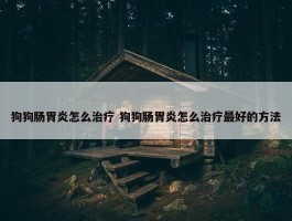 狗狗肠胃炎怎么治疗 狗狗肠胃炎怎么治疗最好的方法