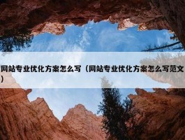 网站专业优化方案怎么写（网站专业优化方案怎么写范文）