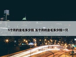 5个月的金毛多少钱 五个月的金毛多少钱一只