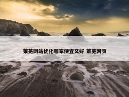 莱芜网站优化哪家便宜又好 莱芜网页