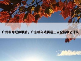 广州豹夺冠冲甲后，广东明年或再迎三支全新中乙球队