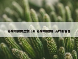 养蝾螈需要注意什么 养蝾螈需要什么样的容器