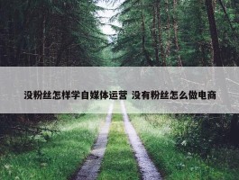 没粉丝怎样学自媒体运营 没有粉丝怎么做电商