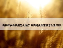 狗狗蜱虫血液病怎么治疗 狗狗蜱虫血液病怎么治疗好