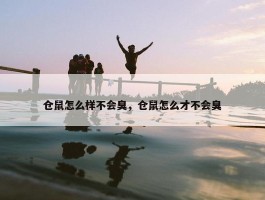 仓鼠怎么样不会臭，仓鼠怎么才不会臭