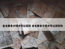 金毛要多少钱才可以买到 金毛要多少钱才可以买到狗