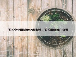 天长企业网站优化哪家好，天长网络推广公司