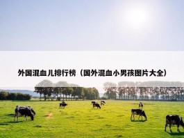 外国混血儿排行榜（国外混血小男孩图片大全）