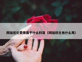 网站优化费用属于什么科目（网站优化有什么用）