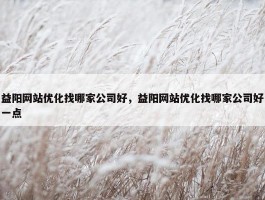 益阳网站优化找哪家公司好，益阳网站优化找哪家公司好一点