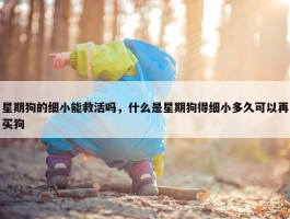 星期狗的细小能救活吗，什么是星期狗得细小多久可以再买狗