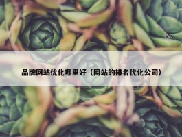 品牌网站优化哪里好（网站的排名优化公司）