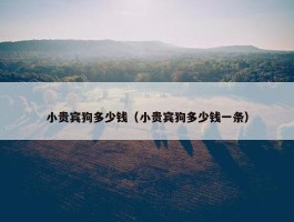 小贵宾狗多少钱（小贵宾狗多少钱一条）