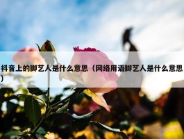 抖音上的脚艺人是什么意思（网络用语脚艺人是什么意思）