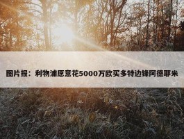 图片报：利物浦愿意花5000万欧买多特边锋阿德耶米