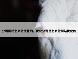 公司网站怎么做优化的，优化公司是怎么做网站优化的