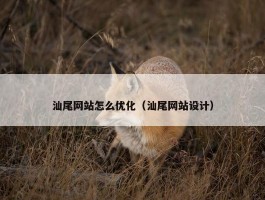 汕尾网站怎么优化（汕尾网站设计）