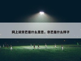 网上说京巴是什么意思，京巴是什么样子