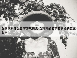 女狗狗叫什么名字洋气英文 女狗狗的名字要萌点的英文名字