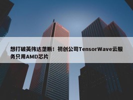 想打破英伟达垄断！初创公司TensorWave云服务只用AMD芯片