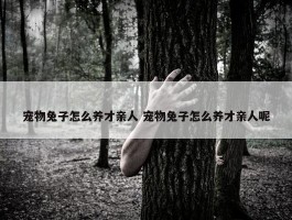 宠物兔子怎么养才亲人 宠物兔子怎么养才亲人呢