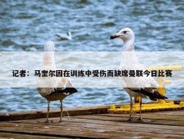 记者：马奎尔因在训练中受伤而缺席曼联今日比赛