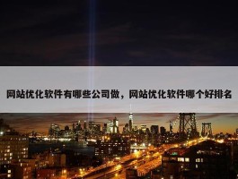 网站优化软件有哪些公司做，网站优化软件哪个好排名