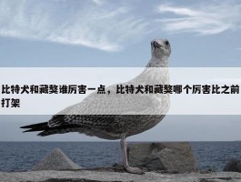 比特犬和藏獒谁厉害一点，比特犬和藏獒哪个厉害比之前打架