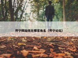 怀宁网站优化哪家有名（怀宁论坛）