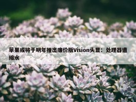 苹果或将于明年推出廉价版Vision头显：处理器遭缩水