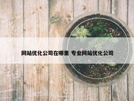 网站优化公司在哪里 专业网站优化公司