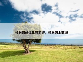 桂林网站优化哪家好，桂林网上商城