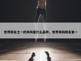 世界排名之一的狗狗是什么品种，世界狗狗排名第一