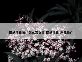 网站优化推广怎么写文章 网站优化 产品推广