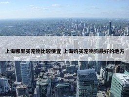 上海哪里买宠物比较便宜 上海购买宠物狗最好的地方