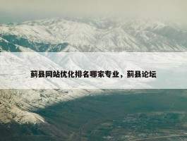 蓟县网站优化排名哪家专业，蓟县论坛