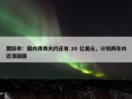 贾跃亭：国内债务大约还有 20 亿美元，计划两年内还清回国