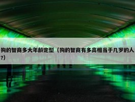 狗的智商多大年龄定型（狗的智商有多高相当于几岁的人?）