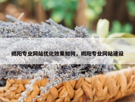 揭阳专业网站优化效果如何，揭阳专业网站建设